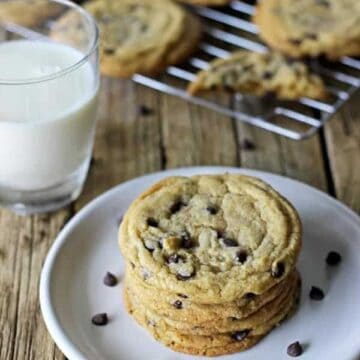 The actual best chewy chocolate chocolate chip cookies in the world ever. No mixer, no chilling, no fuss, just 20 minutes between you and cookie perfection! | thekiwicountrygirl.com