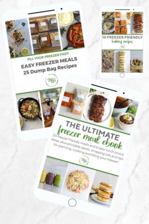 Freezer Ebook Bundle